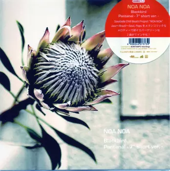 Noa Noa: Blackbird / Pantanal(7" short ver.)