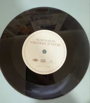 SP Hozier: Northern Attitude