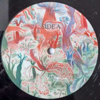 CD Noah Vanden Abeele: Magnolia