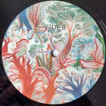 CD Noah Vanden Abeele: Magnolia