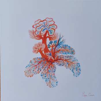 CD Noah Vanden Abeele: Magnolia