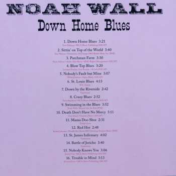 CD Noah Wall: Down Home Blues