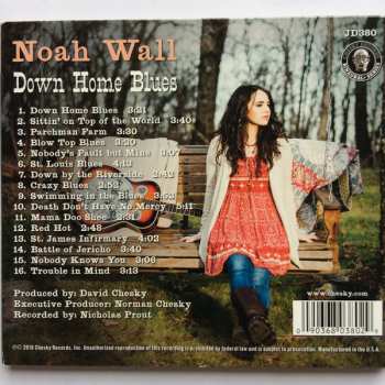 CD Noah Wall: Down Home Blues