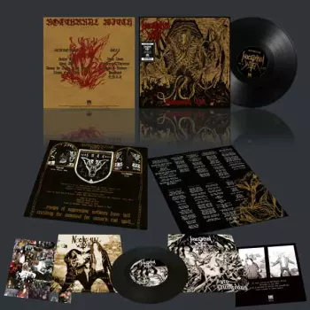 Nocturnal Witch: Summoning Hell