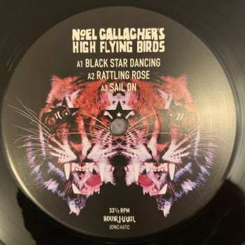 LP Noel Gallagher's High Flying Birds: Black Star Dancing