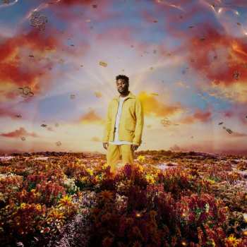 LP Nonso Amadi: When It Blooms CLR