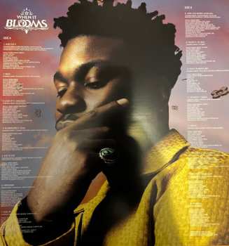 LP Nonso Amadi: When It Blooms CLR