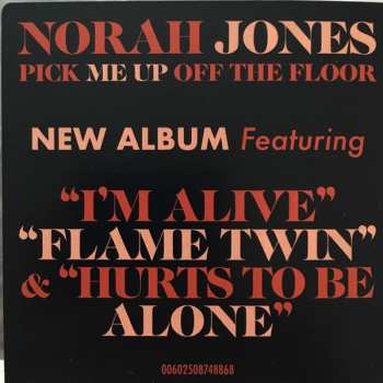 LP Norah Jones: Pick Me Up Off The Floor