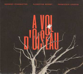 Album Norbert Pfammatter: A Vol D'Oiseau