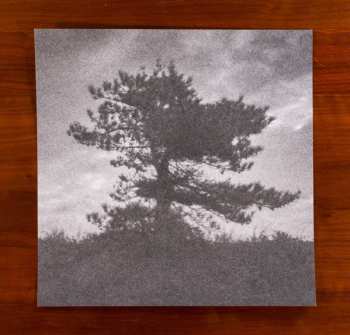 LP Nortfalke: Seefonktjúenderee