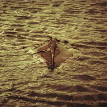 CD Nosound: At The Pier LTD