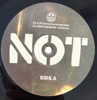 LP Not Moving: Live In The Eighties