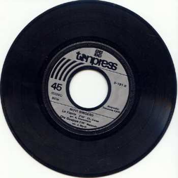 SP Novi Singers: The Fool On The Hill