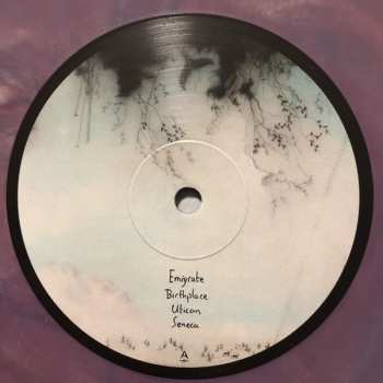 LP Novo Amor: Birthplace