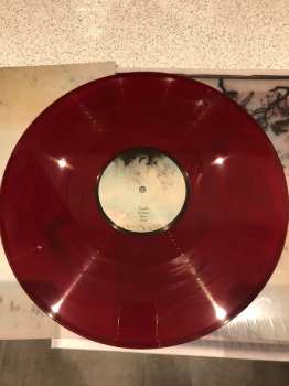 LP Novo Amor: Birthplace