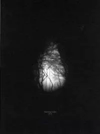Knell