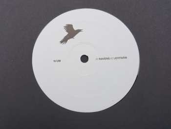 LP N/UM: Ravens