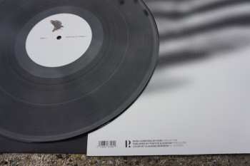 LP N/UM: Ravens