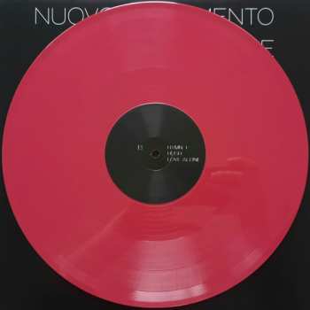 LP Nuovo Testamento: Exposure LTD | CLR