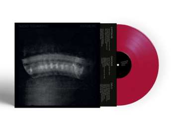 LP Nuovo Testamento: Exposure LTD | CLR