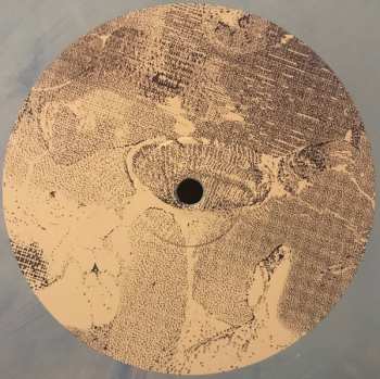 2LP Nuron: DAT Tapes 1993-1994 CLR | LTD