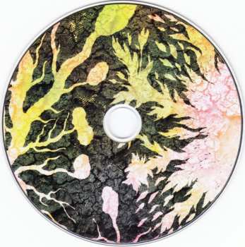 2CD Nurse With Wound: A Sucked Orange / Scrag