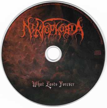 CD Nyktophobia: What Lasts Forever
