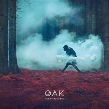 Album The Third Sleep