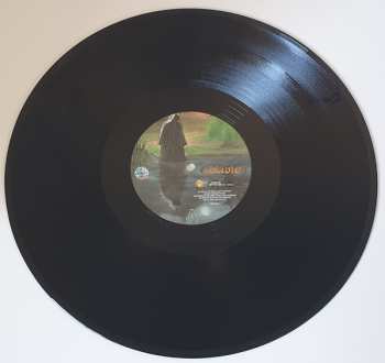 LP Oblivion: Reflections