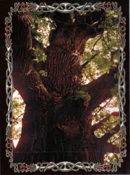 CD/DVD Odroerir: Das Erbe Unserer Ahnen LTD