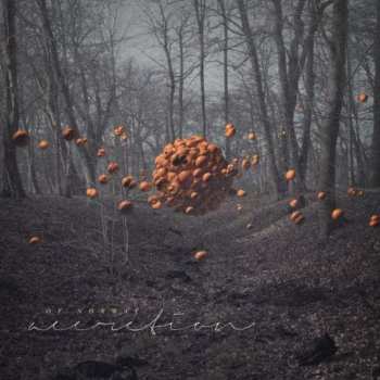 Album Of Norway: Accretion