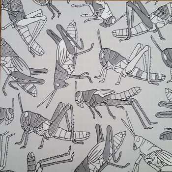 LP/CD OK KID: Sensation LTD | DLX