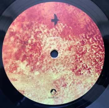 LP Ólafur Arnalds: And They Have Escaped The Weight Of Darkness