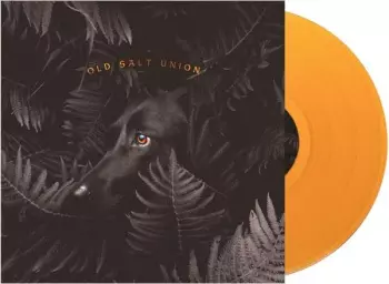Where The Dogs Don't Bite