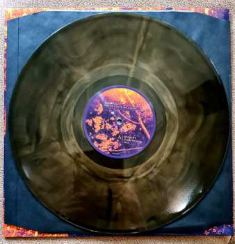 LP Olhava: Never Leave Me Alone  LTD | CLR