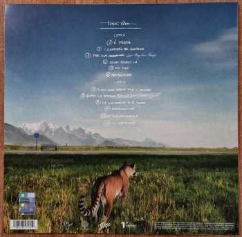 LP Olly: Tutta Vita CLR