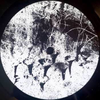 LP TM404: In The Afterworld