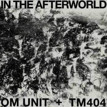 LP TM404: In The Afterworld