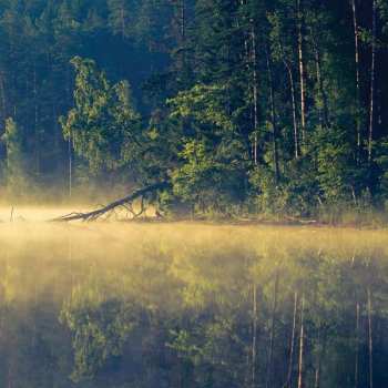 CD Oneirogen: Plenitude