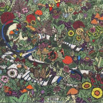 2LP Oozing Wound: Whatever Forever