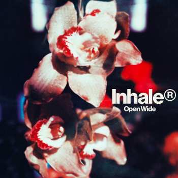 LP Inhaler: Open Wide