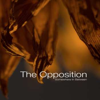 LP Opposition: Somewhere In Between