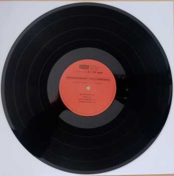 2LP Orange Baboons: 100% Homeless LTD | CLR