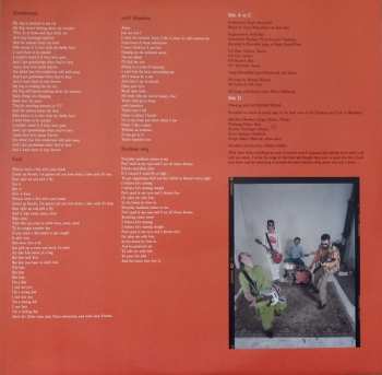 2LP Orange Baboons: 100% Homeless LTD | CLR