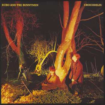 5CD/Box Set Echo & The Bunnymen: Original Album Series
