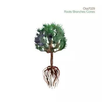 Roots/Branches/Cones