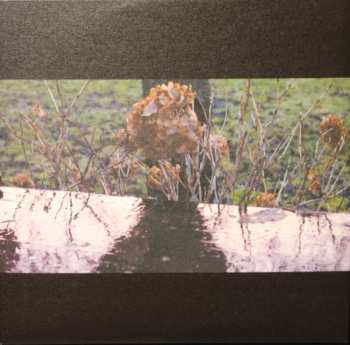 LP Otto A. Totland: The Lost