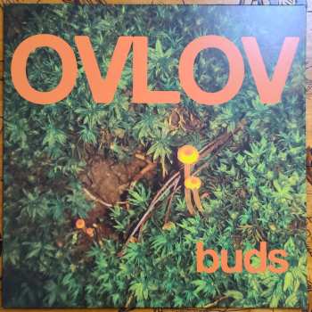 LP Ovlov: Buds CLR