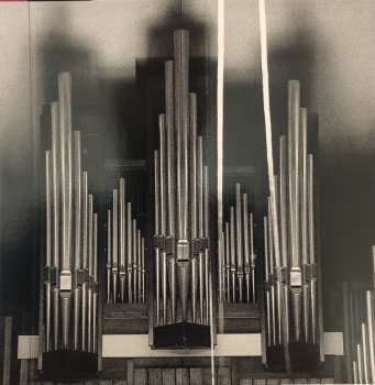 2LP P.A. Hülsenbeck: Reaping From The Conflux LTD | CLR