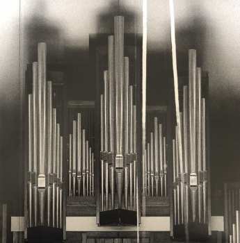 2LP P.A. Hülsenbeck: Reaping From The Conflux LTD | CLR